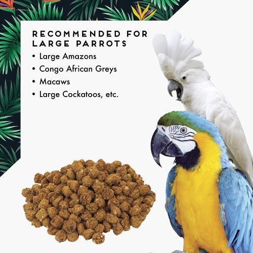 Oven Fresh Bites for Large Parrots | Gourmet parrot food | Dallas Parrots