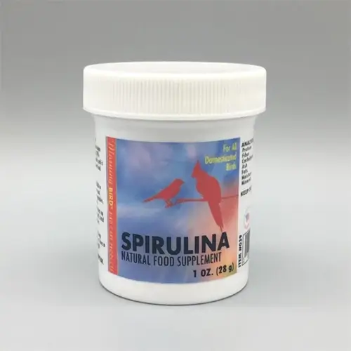 Morning Bird SPIRULINA Bird Supplement - Boost Fertility & Plumage | Dallas Parrots | Bird Supplements