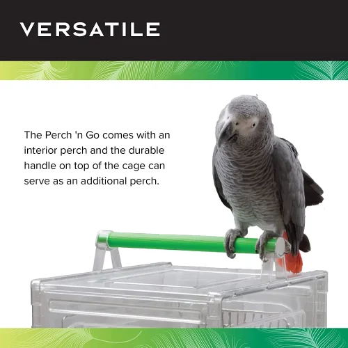 Clear View Travel Cage for Birds | Amazon Travel Cage | Dallas Parrots
