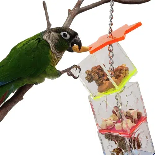 An Foraging Puzzle Boxes parrot toy, a unique and stimulating toy that encourages parrots to forage, solve problems, and chew.