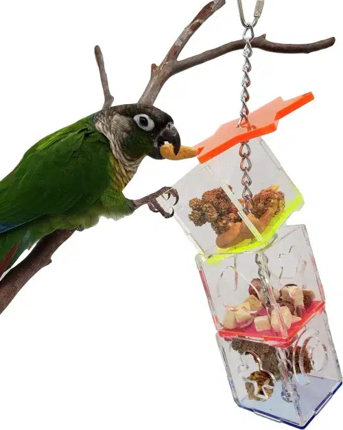 An Foraging Puzzle Boxes parrot toy, a unique and stimulating toy that encourages parrots to forage, solve problems, and chew.