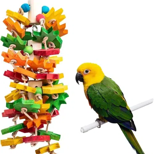 A Chewing Blocks Large 16in parrot toy, a large toy that features a variety of textured blocks that parrots can chew on and manipulate.