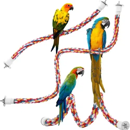 A vibrantly colored bird rope perch with a flexible metal core, allowing for various shapes and positions. The perch is attached to a birdcage, providing a comfortable and stimulating environment for a playful parrot.