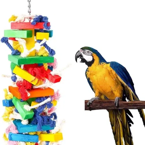 A colorful parrot chew toy made of wood and food-grade color material. The toy features a variety of shapes and textures to keep parrots entertained and engaged. The toy is also small in size, making it suitable for macaws, amazons, and African grey cockatoos.