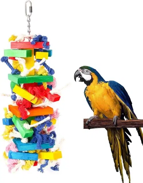 A colorful parrot chew toy made of wood and food-grade color material. The toy features a variety of shapes and textures to keep parrots entertained and engaged. The toy is also small in size, making it suitable for macaws, amazons, and African grey cockatoos.