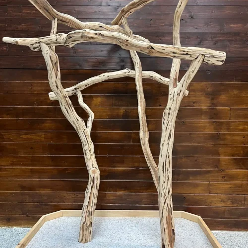 A high-quality Cent Manzanita Tree Stand Jumbo, made from natural manzanita wood and designed specifically for large parrots.