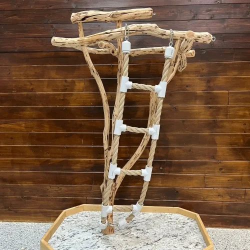 A Cent Manzanita Tree Stand Large w/ Ladder, a high-quality parrot stand made from natural manzanita wood.