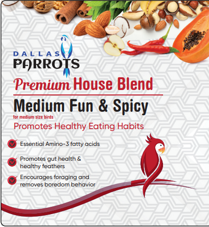 DP Fun Spicy Premium Blend Medium