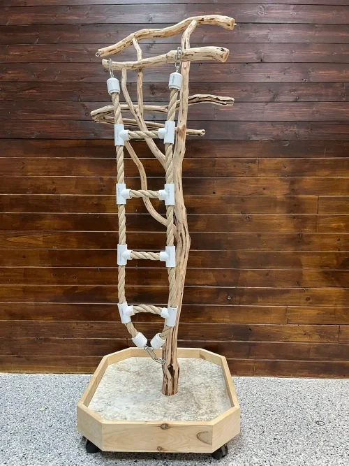 Cent Manzanita Tree Stand Medium w/ Ladder