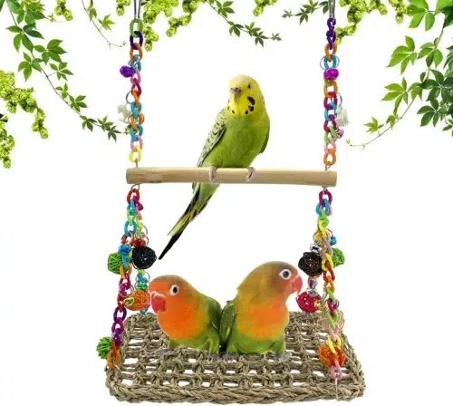 A Swinging Activity Mat Large parrot toy, a versatile toy that offers parrots a variety of ways to play and explore. The mat features a variety of textured surfaces for chewing and foraging, as well as colorful and engaging toys that parrots can swing on.