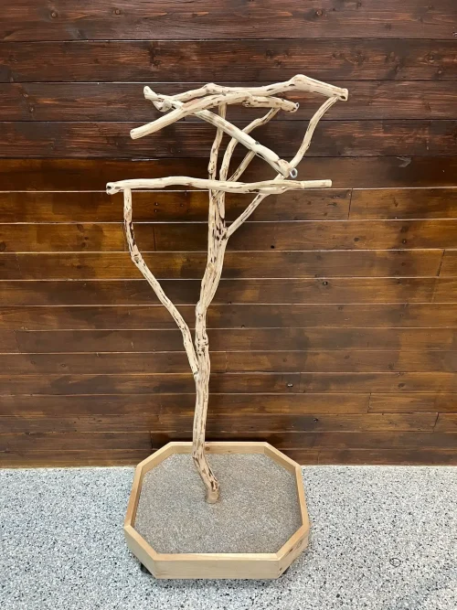 The Cent Manzanita Tree Stand Small is suitable for small parrots, such as parakeets, cockatiels, and budgies.