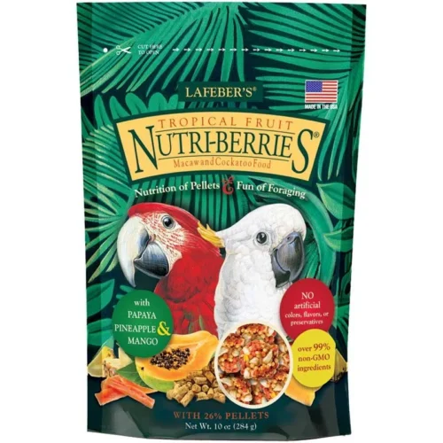 TROPICAL FRUIT BERRIES-CONURE-10OZ