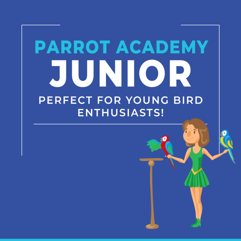 Parrot Academy Junior