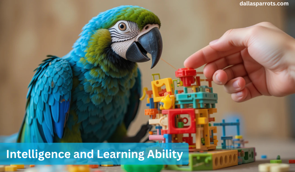 Intelligence and Learning Ability
