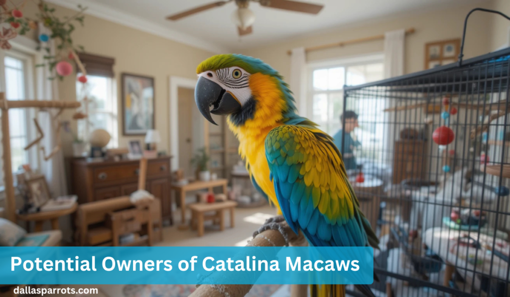 Potential Owners of Catalina Macaws