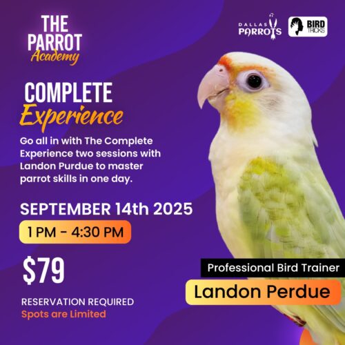 Complete Experience