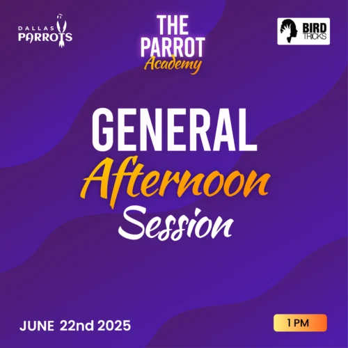 Parrot Academy General afternoon