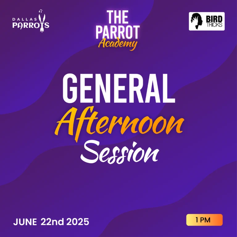 Parrot Academy General afternoon