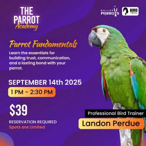 The Parrot Academy Parrot Fundamentals