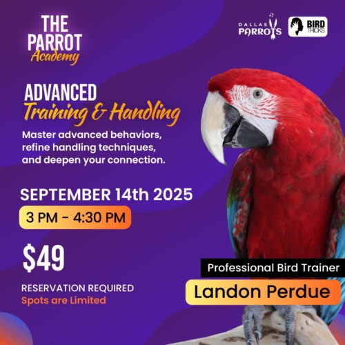 Advance Training & Handling