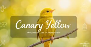 Is a Canary Yellow Bird Right for Your Lifestyle