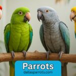 Top 4 parrots to buy that adjust fast to new homes