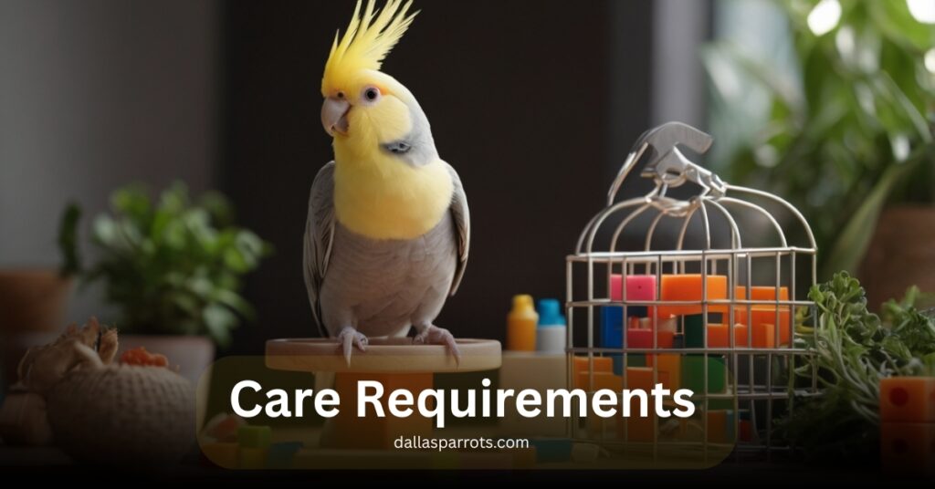 Care Requirements