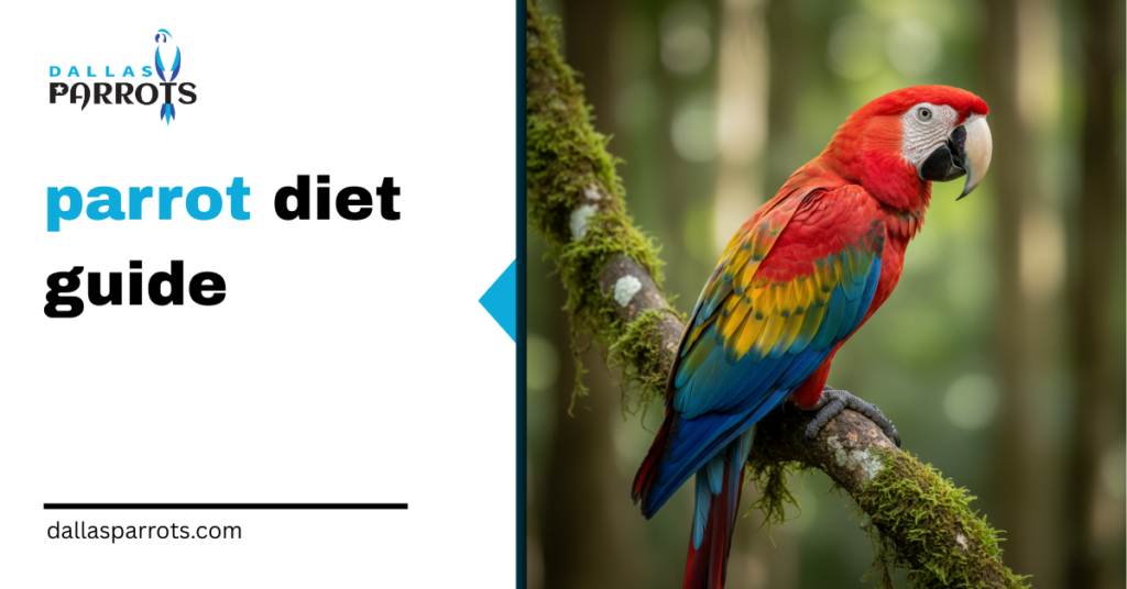 2026 Parrot Diet Guide: Feed Right & Keep Birds Healthy