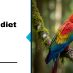 2026 Parrot Diet Guide: Feed Right & Keep Birds Healthy