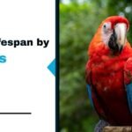 Parrot Lifespan by Species: 14 Species Compared