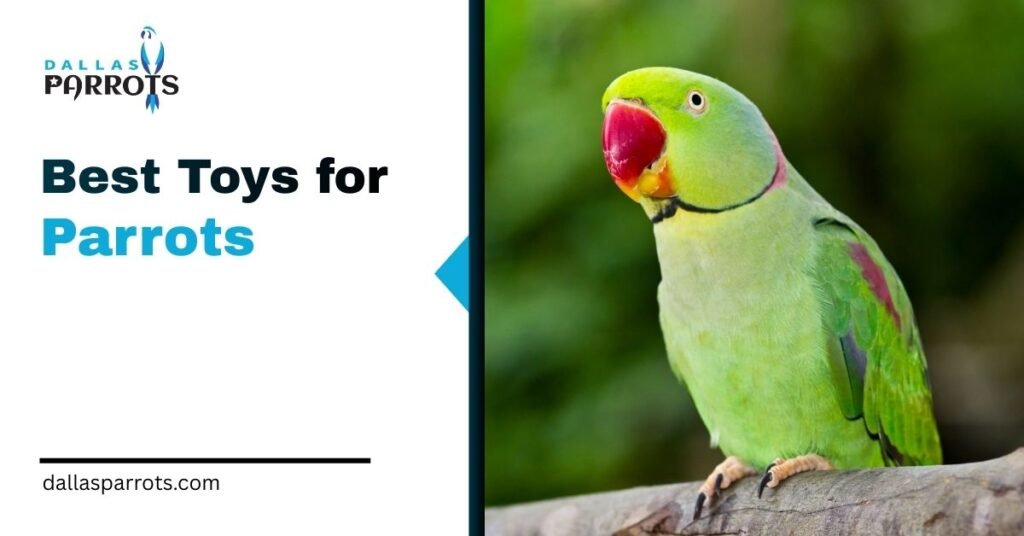 7 Best Toys for Parrots in 2026: By Size, Species & Budget
