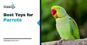 7 Best Toys for Parrots in 2026: By Size, Species & Budget