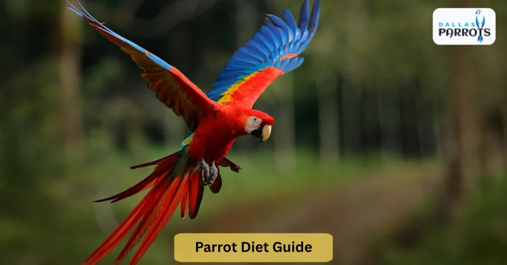 Parrot Diet Guide