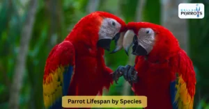 Parrot Lifespan by Species