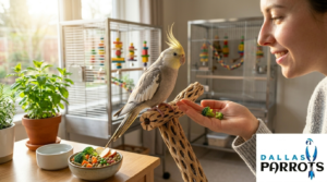cockatiel care guide
